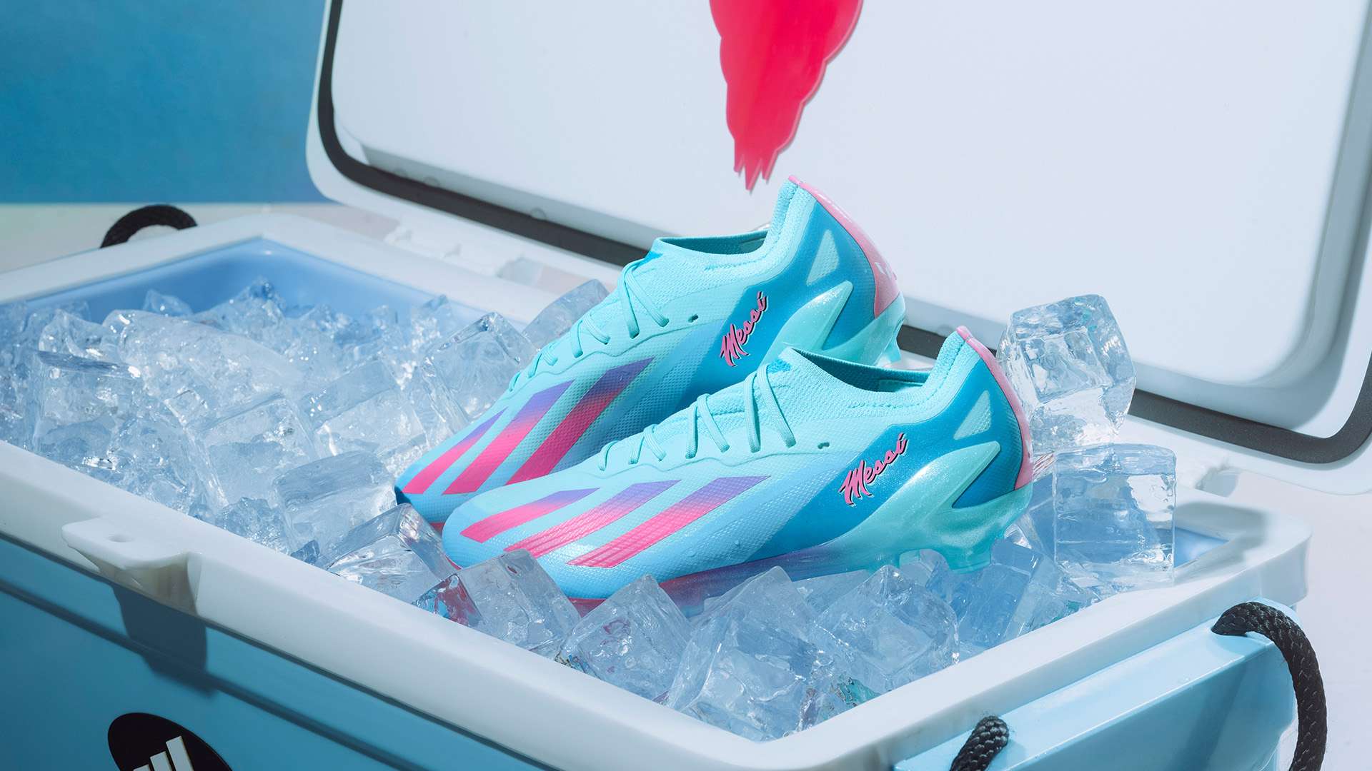 革和社会政 革和社会政