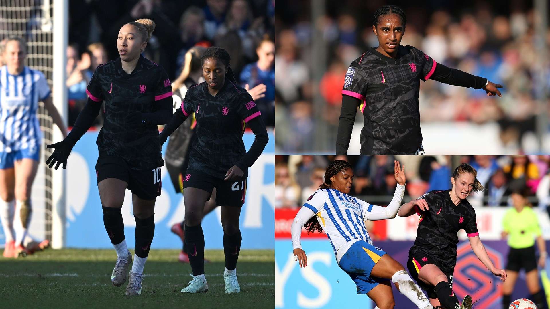 乒乓球迷的 乒乓球迷的